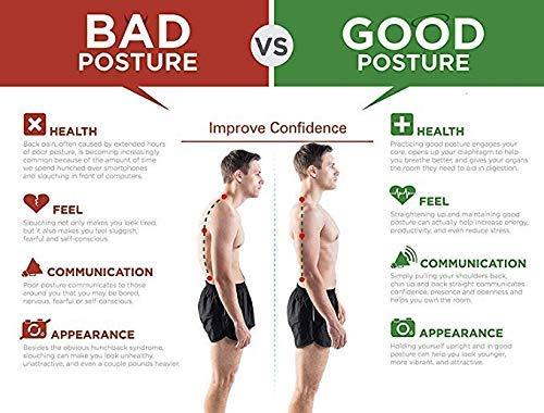 Posture Corrector Belt for Men & Women.